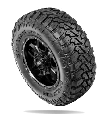 Nexen Roadian MTX RM7 295/65R20 All-Terrain light truck tire